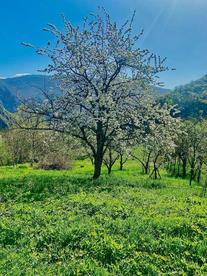 Cottage Modrich Struga Ngoại thất bức ảnh