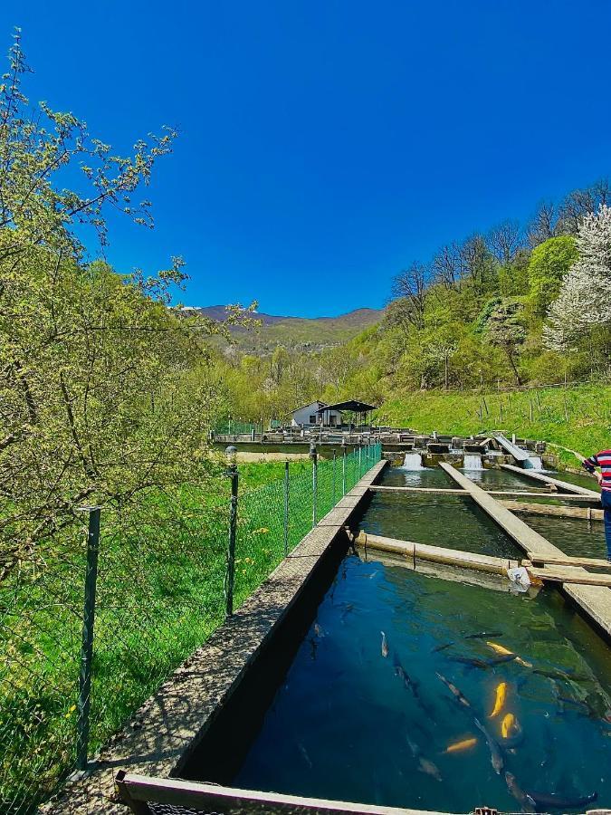 Cottage Modrich Struga Ngoại thất bức ảnh